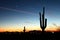 Saguaro Sunset