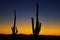 Saguaro sunset, Arizona