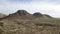 Saguaro - Superstition Mountains - Arizona