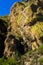 Saguaro Under A Cliff