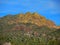 Saguaros Back of the Ridge