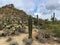 Saguaros and Cholla cactus with mountain background with hazy cloudy sky