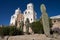 Saguaros in front of san xavier mission tucson arizona