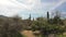 Saguaros at Tucson`s National Park East