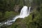Sahalie Falls and Temperate Rainforest