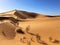 Sahara Desert, Beni Abbes, Bechar, Algeria
