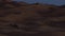 Sahara desert. A dromedary camel at night.