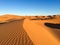 Sahara dunes in Merzouga, Africa - The grand Dune of Merzouga