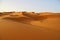 Sahara sanddunes