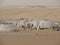 Sahara, Tunisia, July 25, 2018: abandoned scenery for the filming of Star wars in the Sahara desert, planet Tatooine