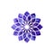 Sahasrara chakra. Sacred Geometry. One of the energy centers in the human body. The object for design intended for yoga.