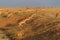 Saigas at a watering place drink water and bathe during strong heat and drought