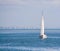 A sail boat sailing on Tampa Bay in Saint Petersburg, Florida. No Property Release