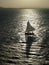 Sail Boat Silhouette