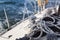 Sail Boat Winch / yachting