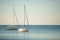 Sail boats anchored on a calm sea in late afternoon