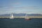 Sail boats off Los Angeles coastline