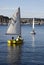 Sail boats on Union Lake