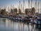 Sail boats and yachts anchored in marina