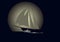 Sailboat against a background of the moon