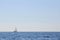 Sailboat alone at open sea