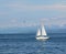 Sailboat in the bay