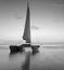 Sailboat on the beach with a beautiful sunset in black and white