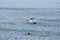 Sailboat and canoes in the sea near Gordons Bay