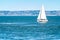 Sailboat while cruising the san francisco bay near the Alcatraz island prison