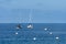 Sailboat dock next to Catalina Island, California, USA.