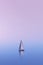 Sailboat floating on a calm lake, hazy background