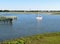 Sailboat floating on the marsh and wetlands along Shem Creek in Charleston, South Carolina