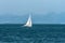 Sailboat floats quickly against the distant mountains