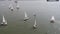 A sailboat harbor with a large number of sailing boats. Sailing harbor. Aerial