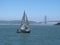 Sailboat Heading for SF Bay Bridge