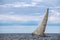 Sailboat heeling on Lake Michigan