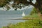 Sailboat on the hudson river