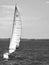 Sailboat on Hudson River black and white
