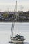 Sailboat leaving New Bedford on windless morning