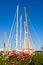 Sailboat masts and flowers