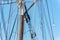 Sailboat masts, rigging and rolled up sails