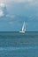 Sailboat moving over a calm ocean of the gulf of mexico on an early morning with a calm ocean