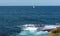 Sailboat in the ocean along the Bondi to Coogee coastal walk in Sydney, Australia