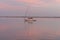 A Sailboat in the Pink Sky of Sunrise