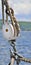 Sailboat Pulley