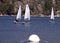 Sailboat race