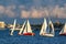 Sailboat Race on Hudson River