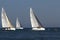 Sailboat Race, Santa Barbara, CA