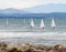 Sailboat racing on the sea