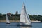 Sailboat regatta on the Vistula River